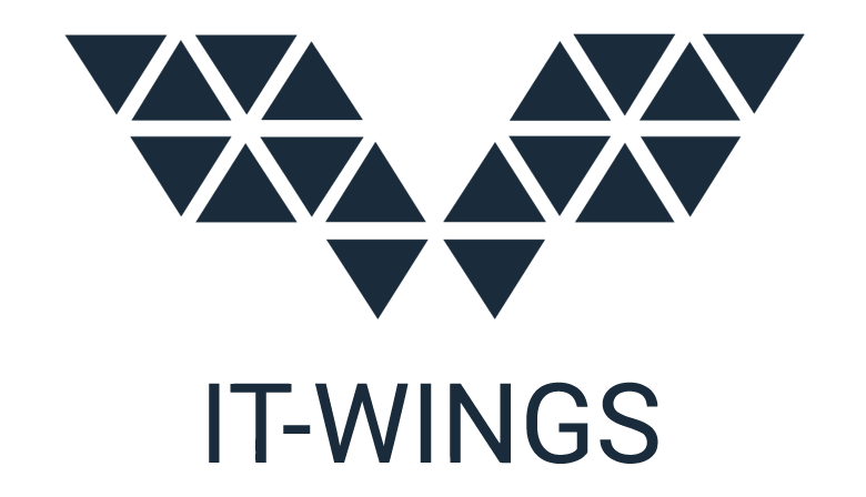 IT-WINGS